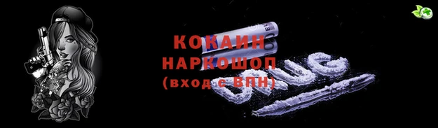jwh Богородск
