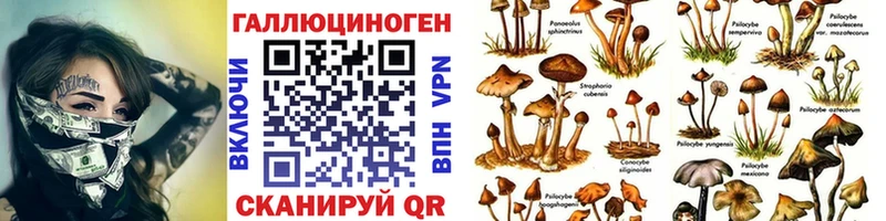 наркота  Бирюсинск  Галлюциногенные грибы Magic Shrooms 
